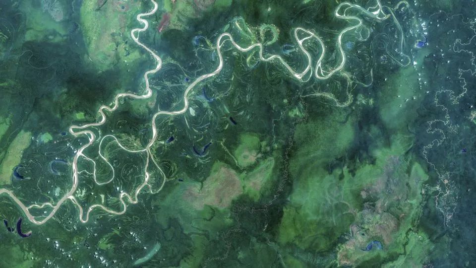 暑期必看的炸裂口碑纪录片,暑期不虚度七部神级纪录片陪你