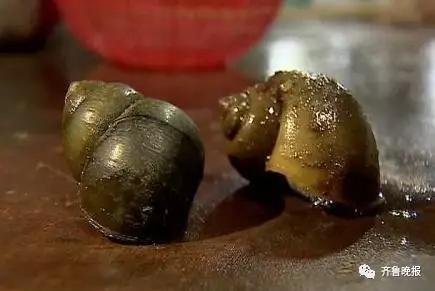 很多食物都有寄生虫,哪些寄生虫会造成生命危险