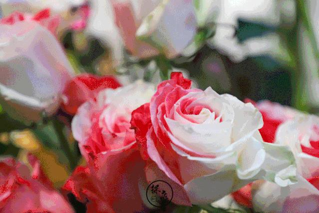 免费送tf口红,tf口红免费送