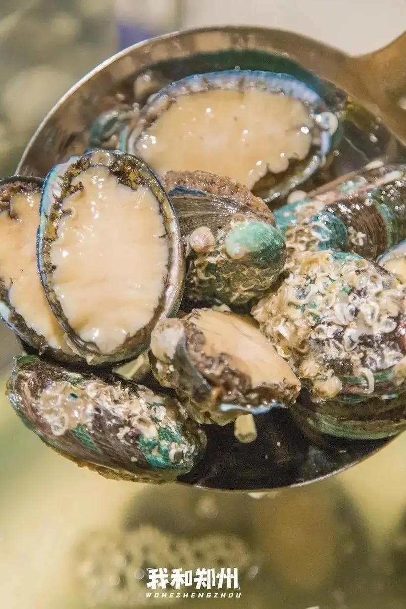 鑸屽皷涓婄殑缇庨娣卞害涔嬫梾,甯︿綘浜彈鑸屽皷涓婄殑缇庨