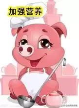 如何快速的找到人工授精的方法,人工授精的方法和步骤图