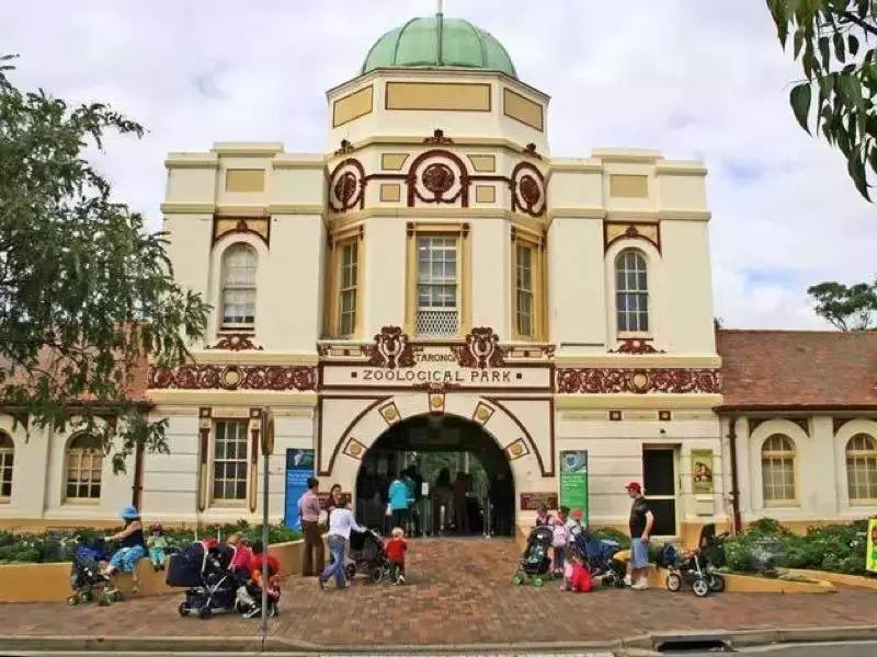 世界十大神奇动物,十大神奇动物园