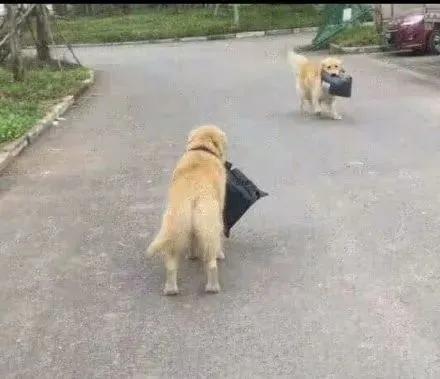 无聊到极致了,无聊到极致是什么样的体验