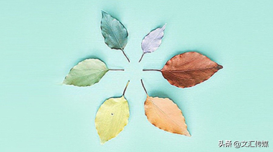 网站页面设计需要学什么,网站设计忽略了怎么设置回来