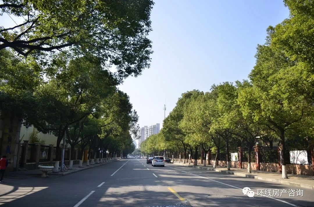 上海郊区房地产投资,上海西南板块