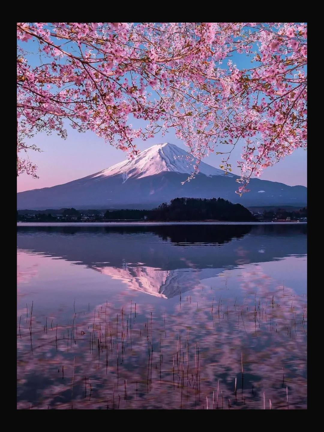 什么牌子的hm值得购买,还买啥美系车