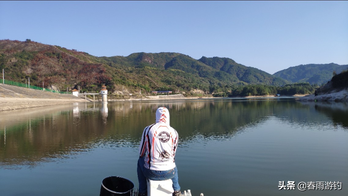 钓鱼水库窝料怎么选择,野钓窝料的打法