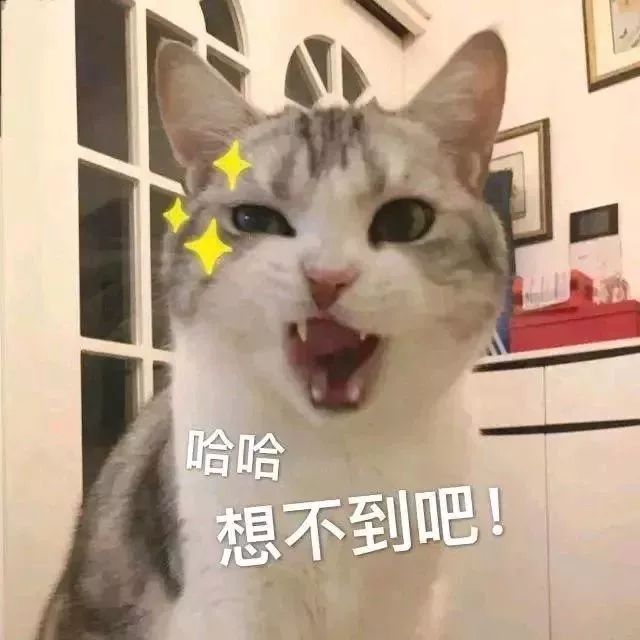 听说有个新职业特别火，“厕评师”了解一下？