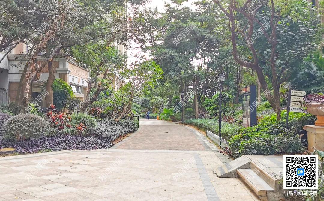 三所学校环绕的楼房,三所学校环绕的小区