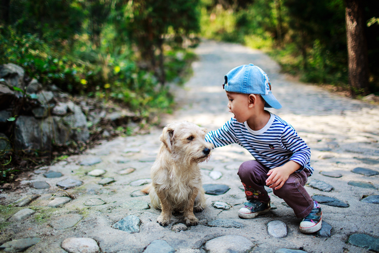 孕妇养狗狗要注意哪些,孕妇怀孕期间适合养狗吗