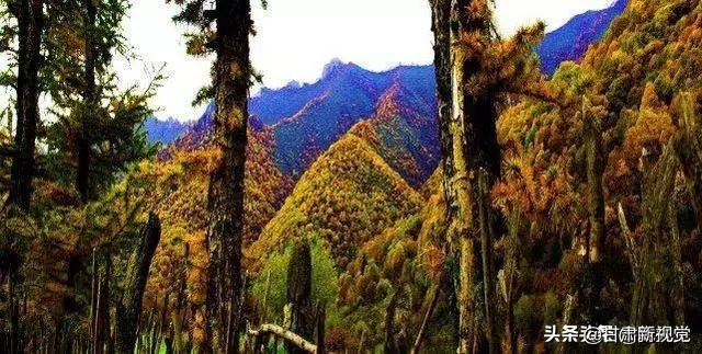 甘肃兰州最大的区,兰州最大的区是哪个区