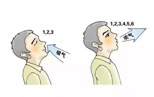 养肺的呼吸法,养肺健肺最好的方法