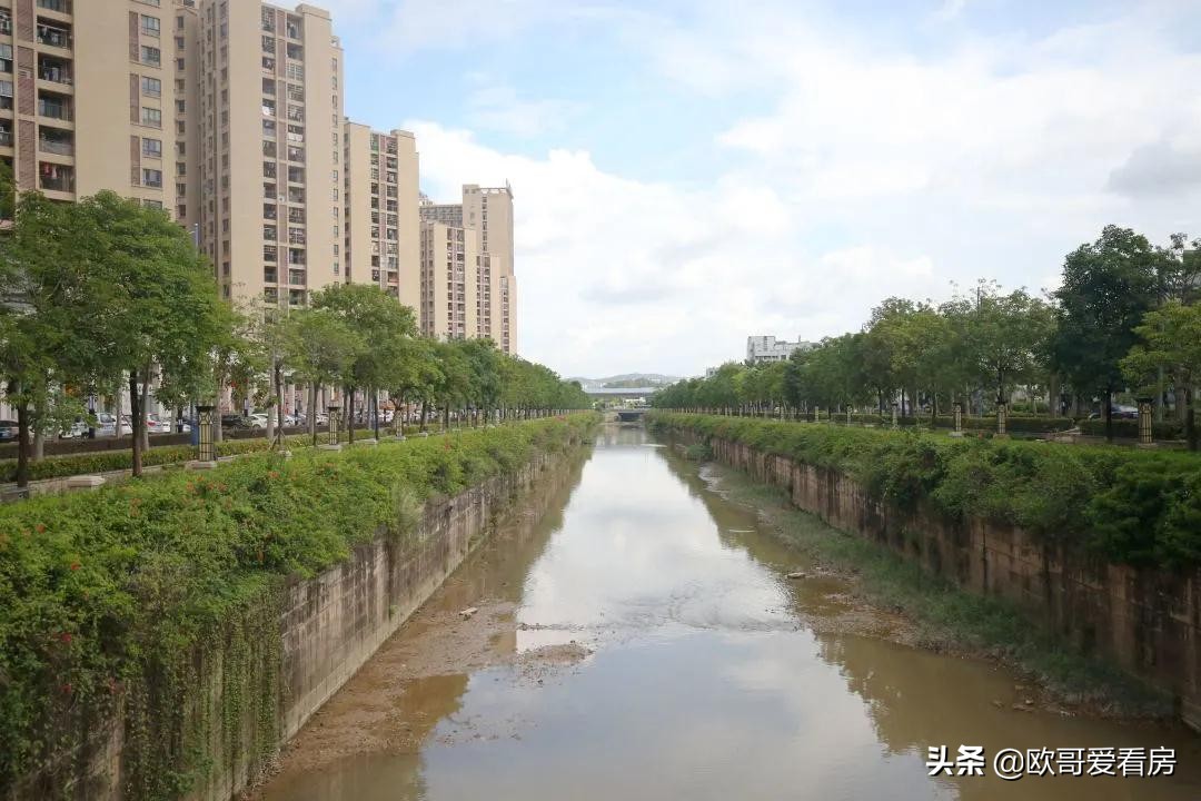 惠州仲恺区以后发展怎么样,仲恺区2020年gdp