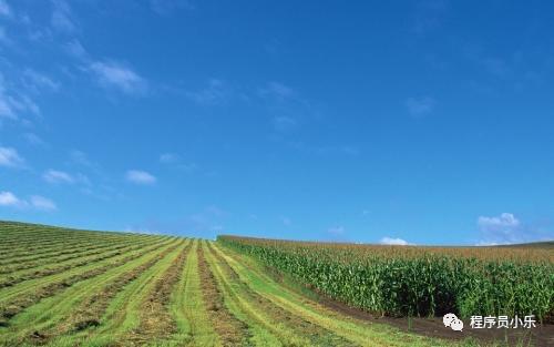 互联网后端开发框架的意义,互联网后端架构