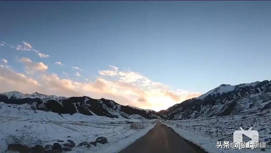 这位“女汉子”在*疆新**，把狼养成了哈士奇，就是经常揍狼的那个