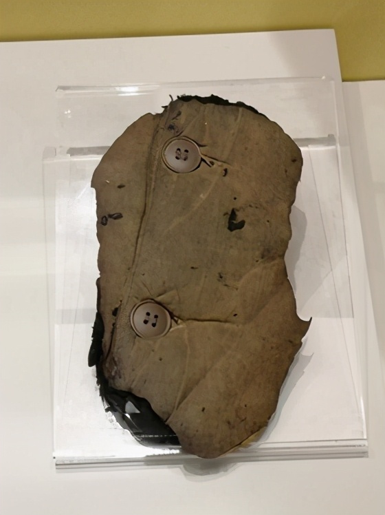 中国一战是怎么赢的,一战中国有多强势