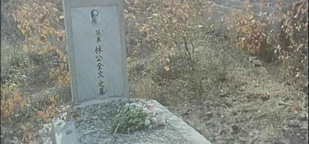 36年前国产动画片,36年前最火的一部国产电影