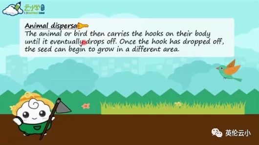 植物是怎么传播种子的二年级上册,植物传播种子方法有哪些举例说明