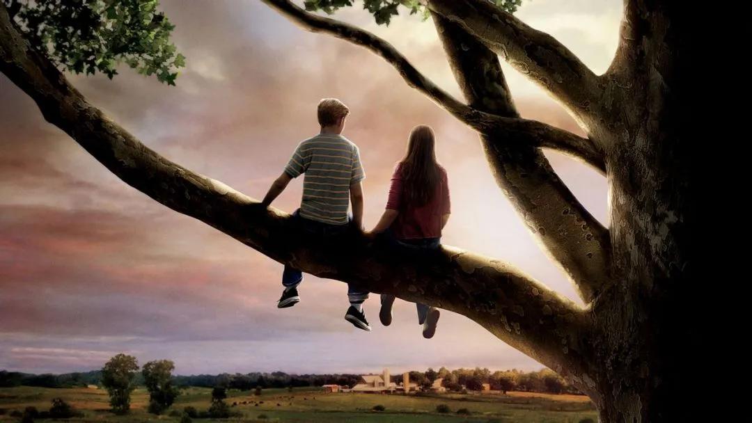 今年最好看的十部电影排行榜,十部最好看的电影推荐排行榜