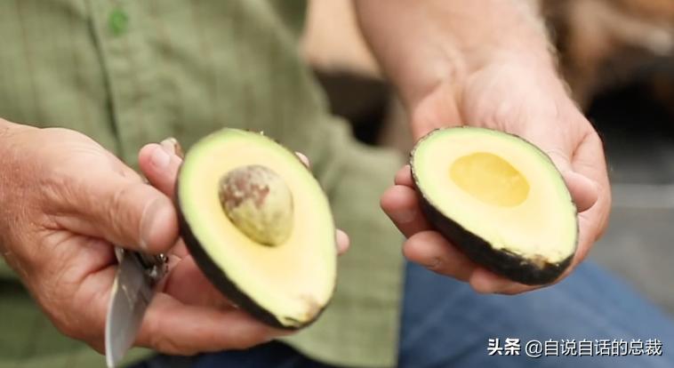 牛油果是坏了吗,牛油果几十年前