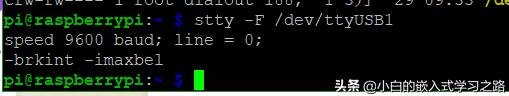 树莓派usb串口接收数据,树莓派读取串口教程