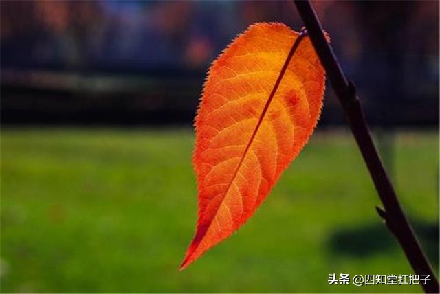 老子道德经人性的弱点,老子道德经做人原则