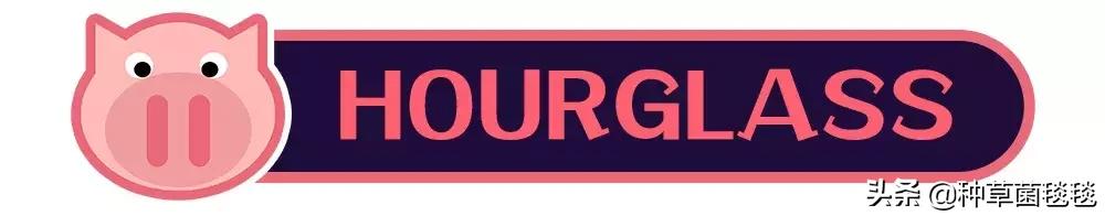 25块买啥,25块买什么东西