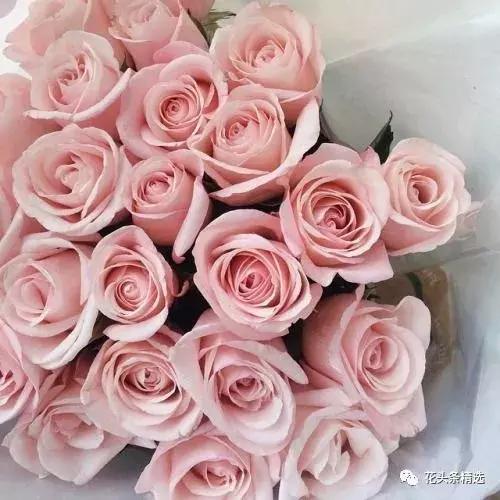 母亲节送什么花比较实用,母亲节送什么花合适呢