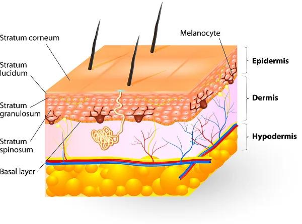 辟谣、吃酱油加深痘印？芦荟胶治好痘坑？别傻了！
