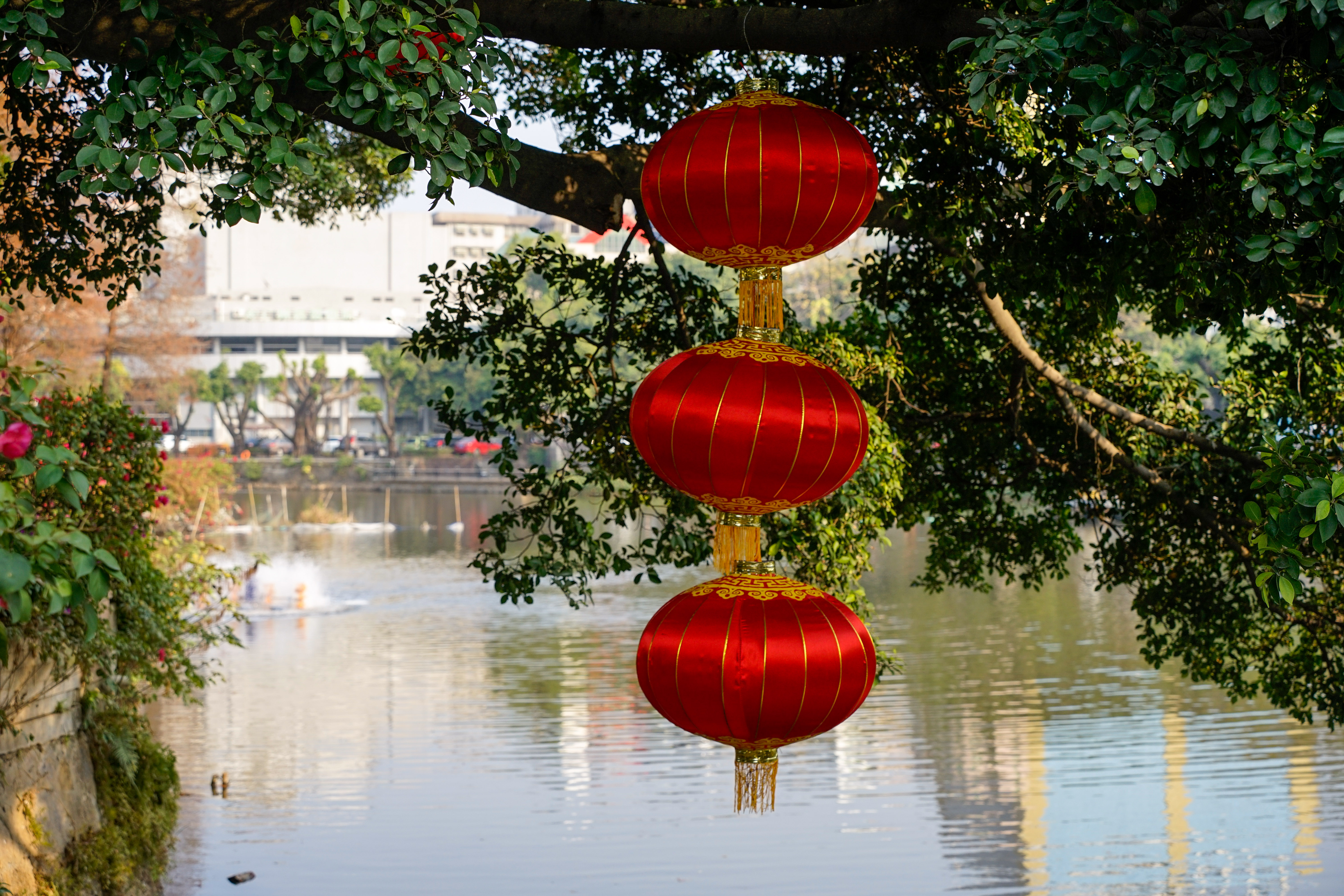 腾龙18-200f2.8佳能卡口,fe卡口f1.4副厂镜头推荐
