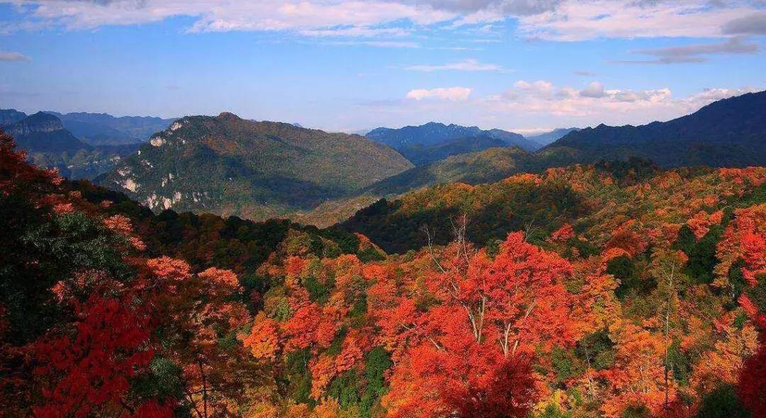 云游中国四川,云游四川