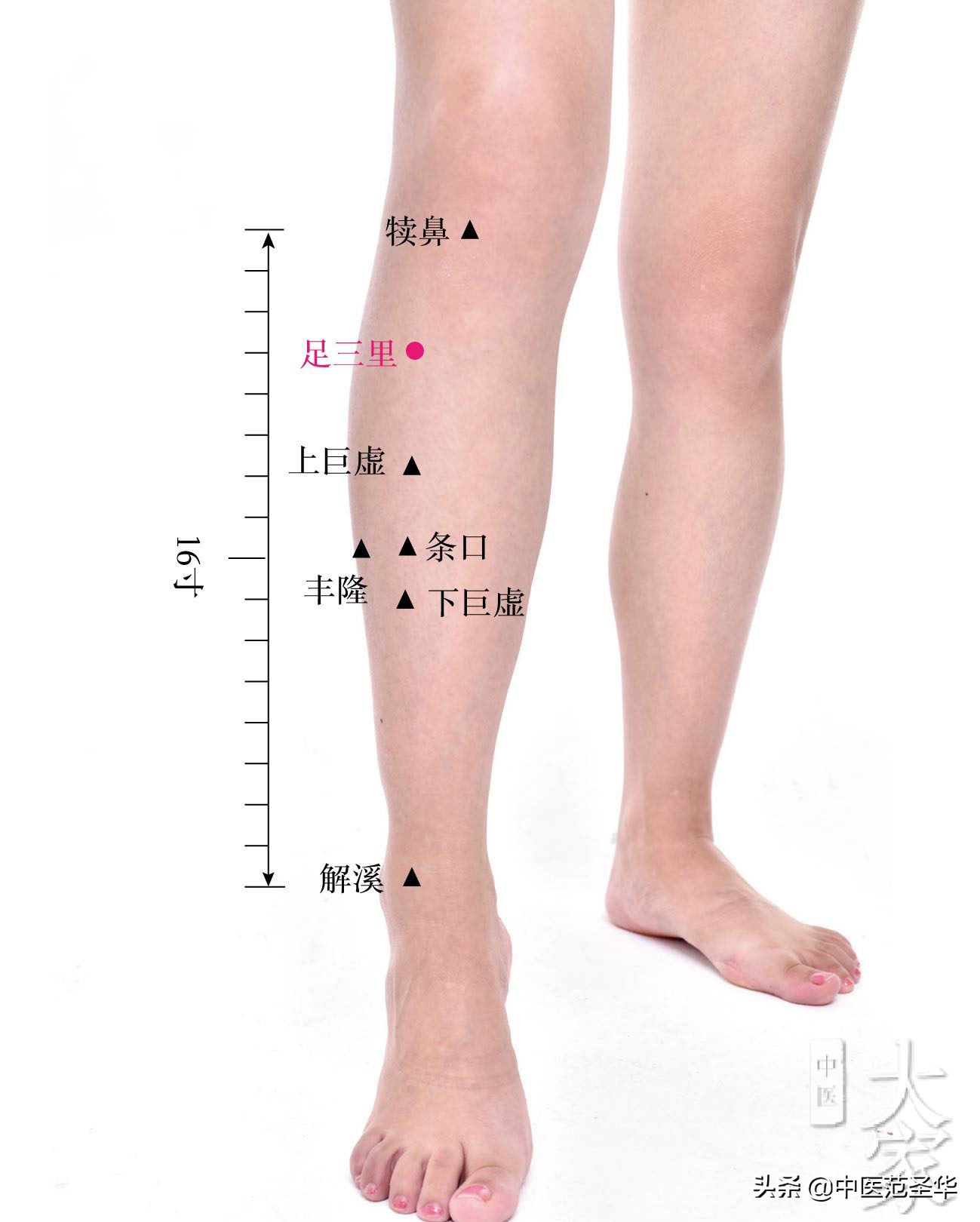 顽固性口苦奇效医案,黄帝内经怎么讲口干口苦的