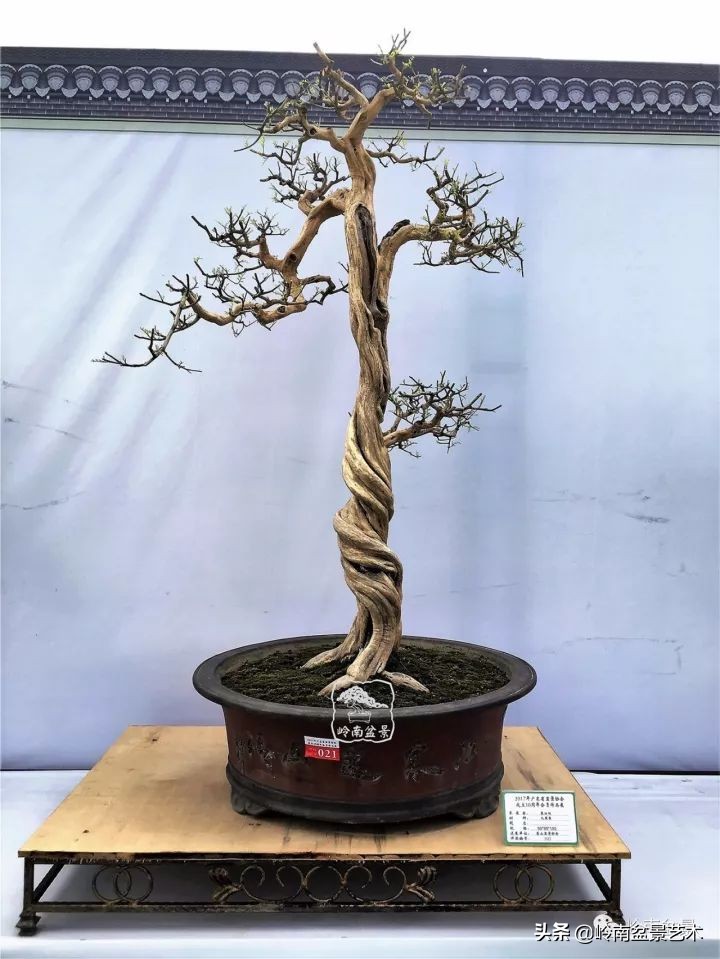 骞哥涔呬箙鐢滅敎铚滆湝,骞哥涔呬箙