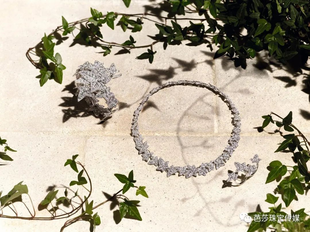 揭秘珠宝圈百年“网红”,常春藤凭什么得到这么多宠爱?