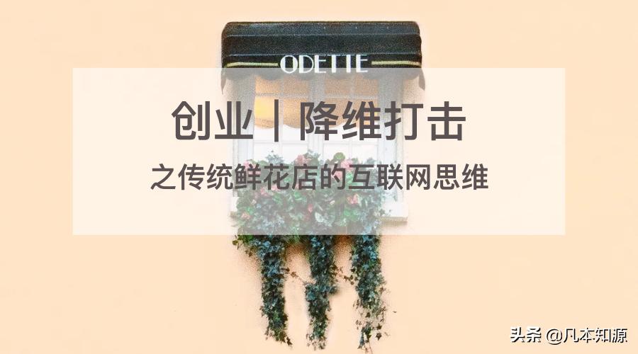 互联网鲜花店经营模式,创新创业鲜花店网络零售状况