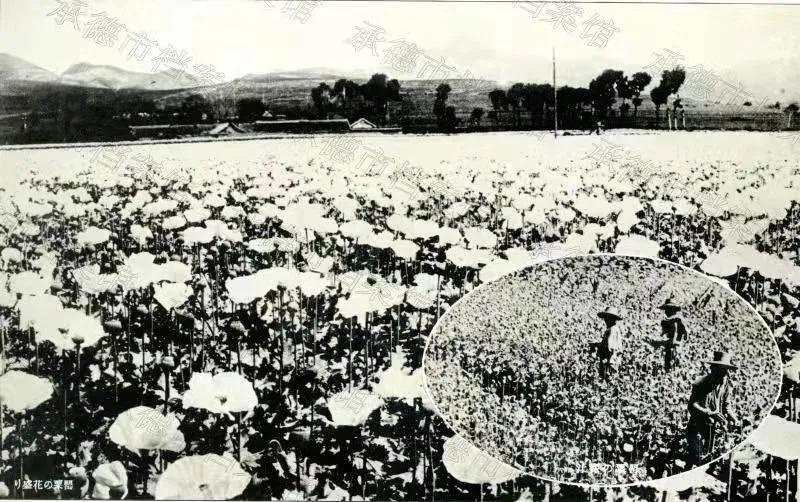 禁毒的危害纪录片,禁毒对个人的危害视频