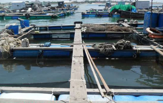 海边一种小不丁点大的泥猛鱼，刺得龇牙咧嘴，腹内有一股特殊的臭