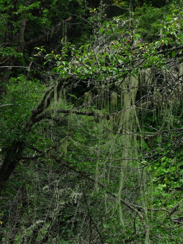 四姑娘山冬日旅行,2022年冬天四姑娘山游记