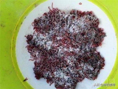 冬钓鱼最佳钓位图解,冬季钓大鱼能钓哪些鱼种