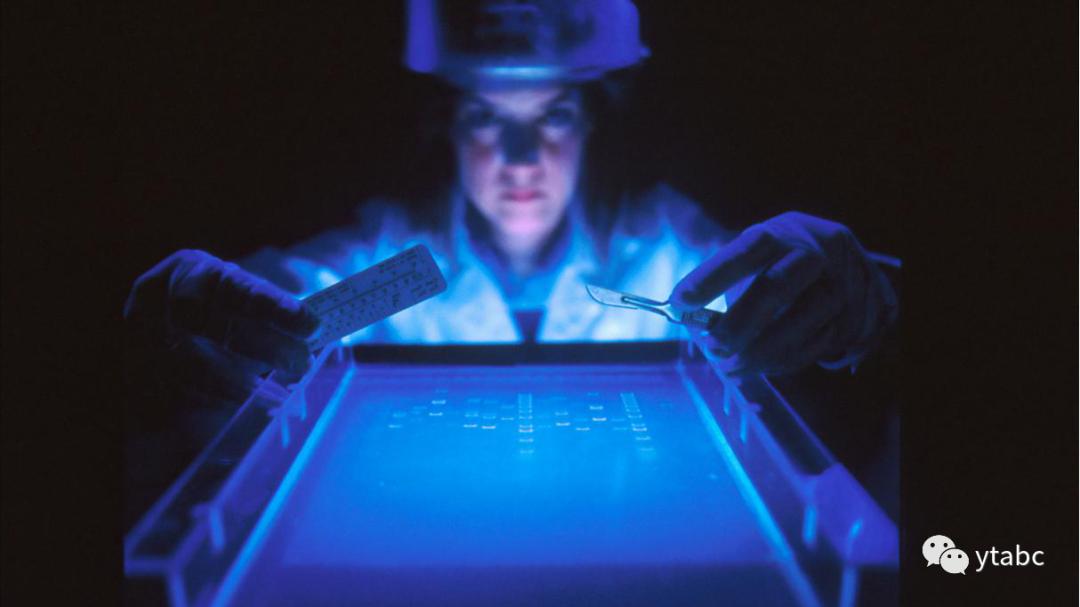 老鼠偷偷溜进博物馆,杀死拥有三只眼的远古生物