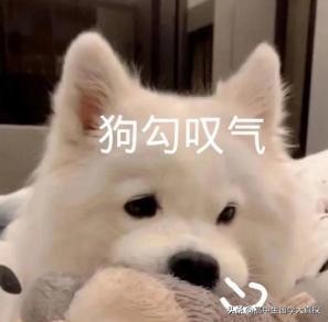 关于出国，这篇文章可能会*翻推**你的幻想