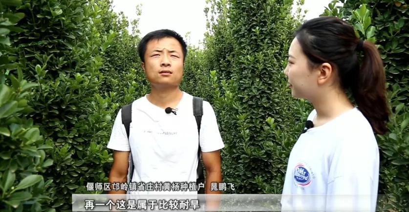 偃师区!美了!富了