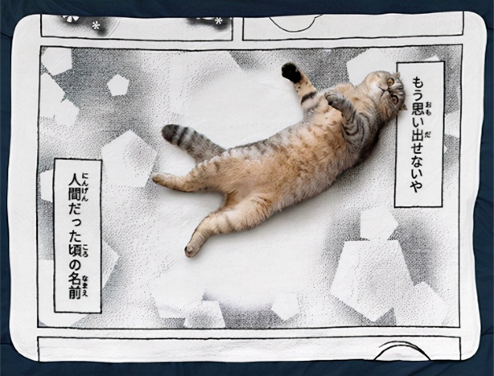 日本死亡日记本,日本死蚊子印章