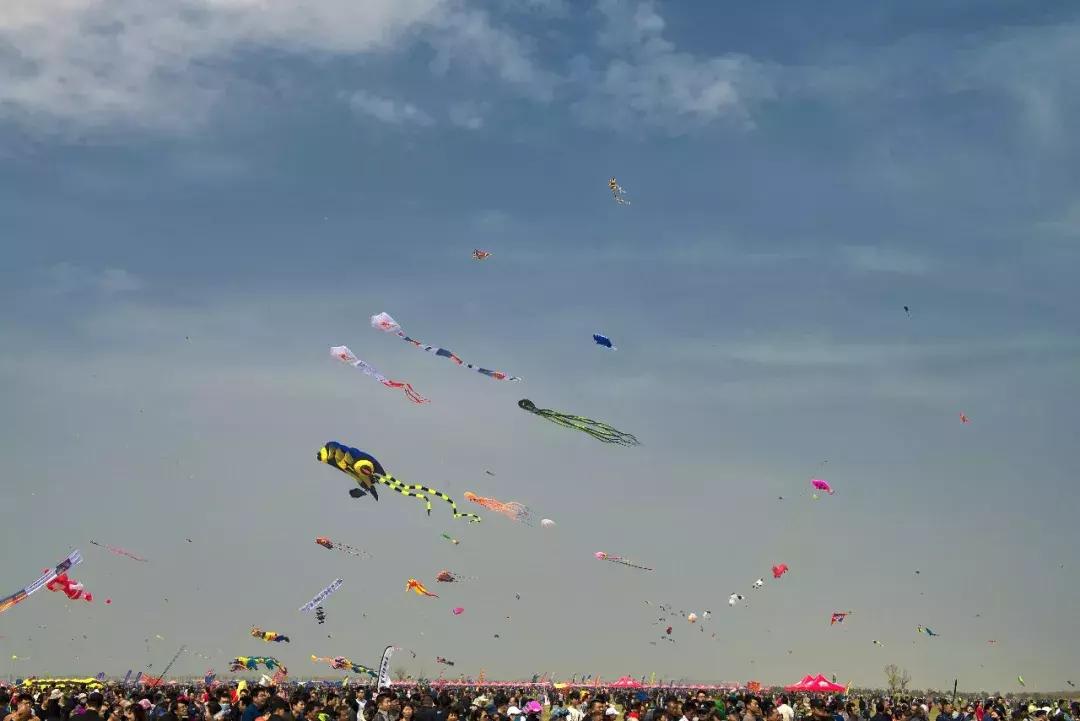 潍坊第36届国际风筝会,第36届潍坊国际风筝会时间