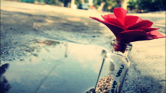 虚伪的表面关系,虚伪的关系一点也不想维持