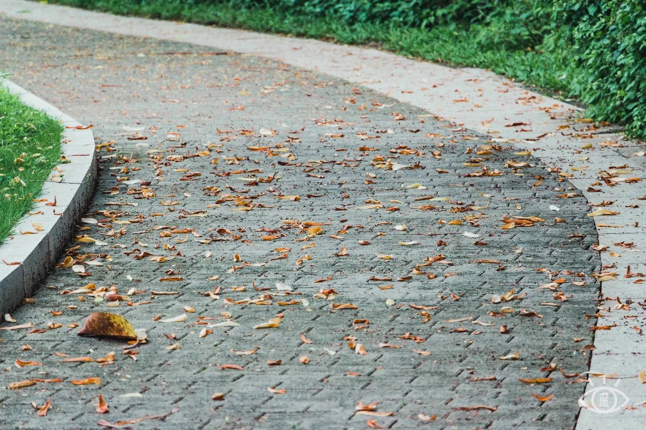 深圳值得逛的古镇,深圳有一条街全是复古的