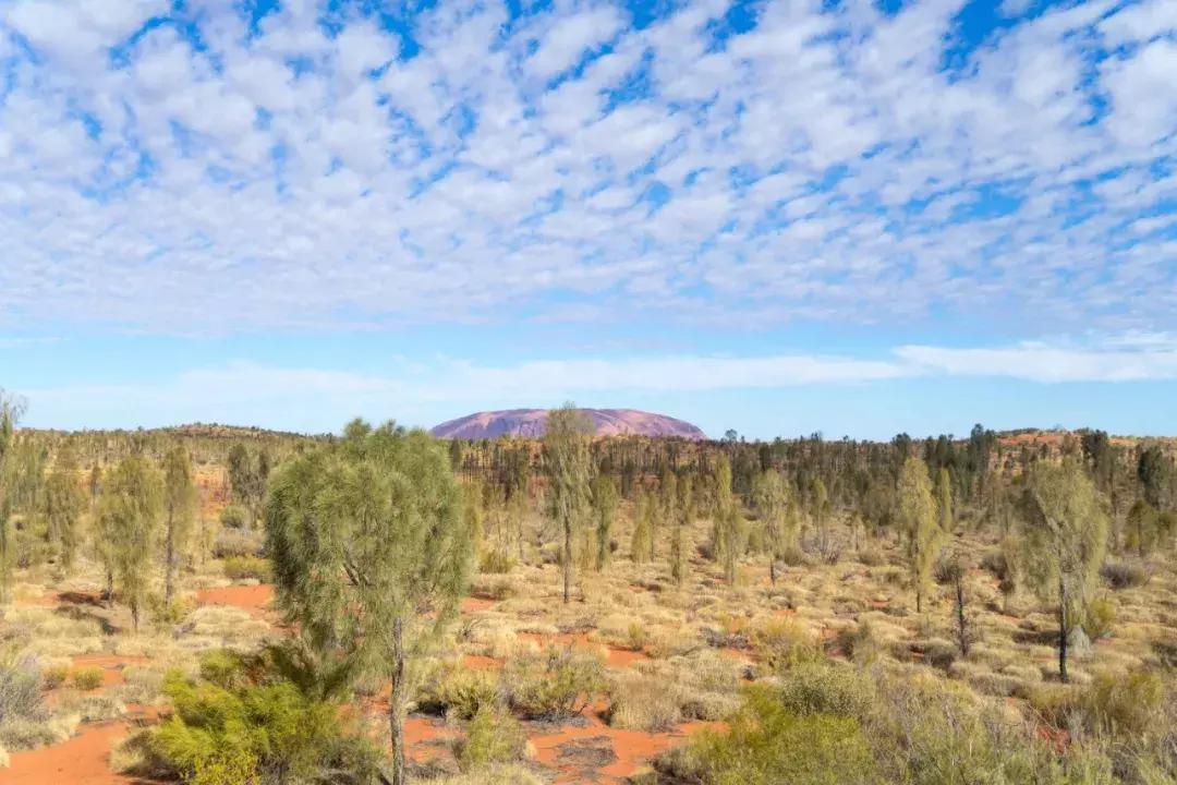 会玩的人一般去哪玩,为什么澳大利亚四面环海
