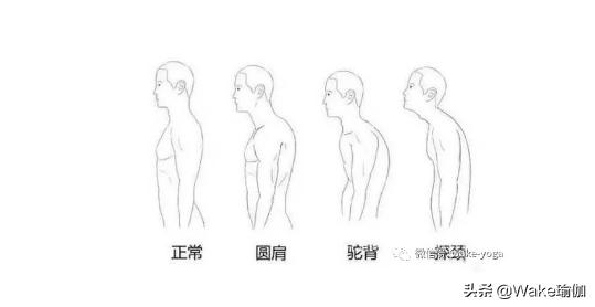 三个动作帮忙解决含胸驼背,3个动作纠正驼背挺拔身姿