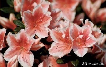 致敬中国英烈诗词,纪念先辈缅怀英烈的诗句