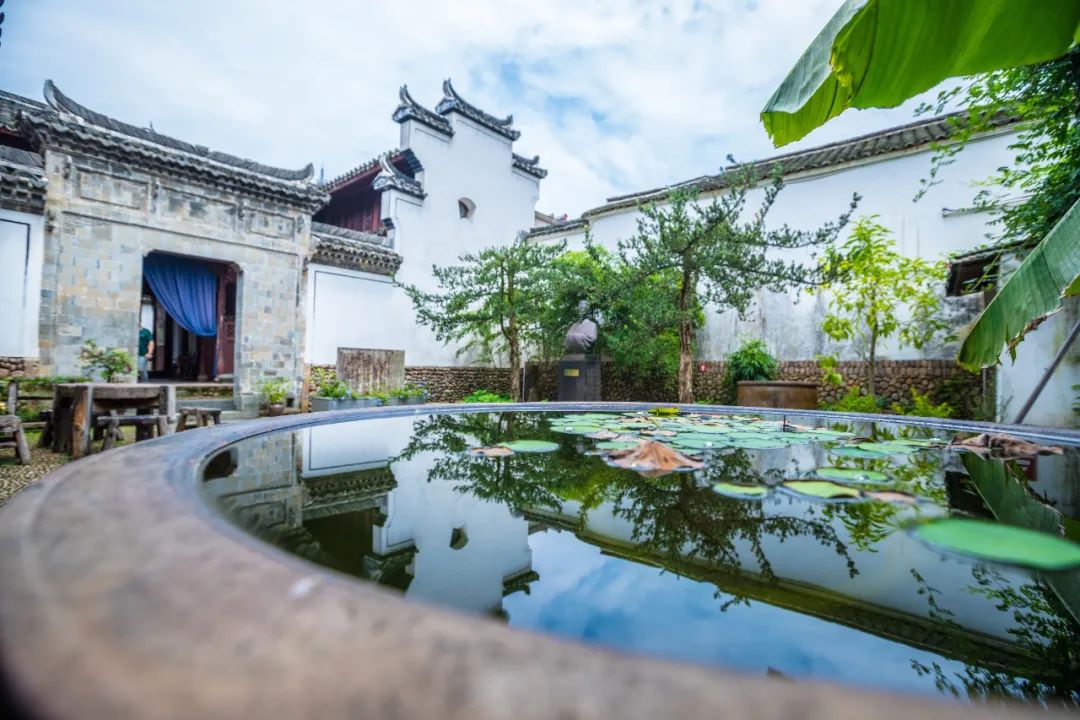 比乌镇安静比南浔古朴,藏不住了这里有最炫秋色